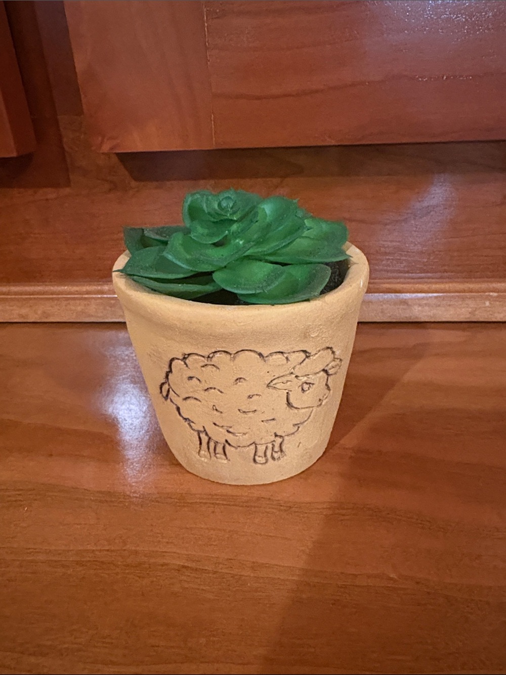 Succulent in Sheep-Decorated Ceramic Pot - Green and Cream